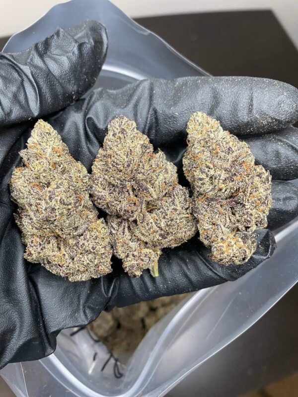 buy-kush-online-1.jpeg Cannabis Online in Bremen kaufen