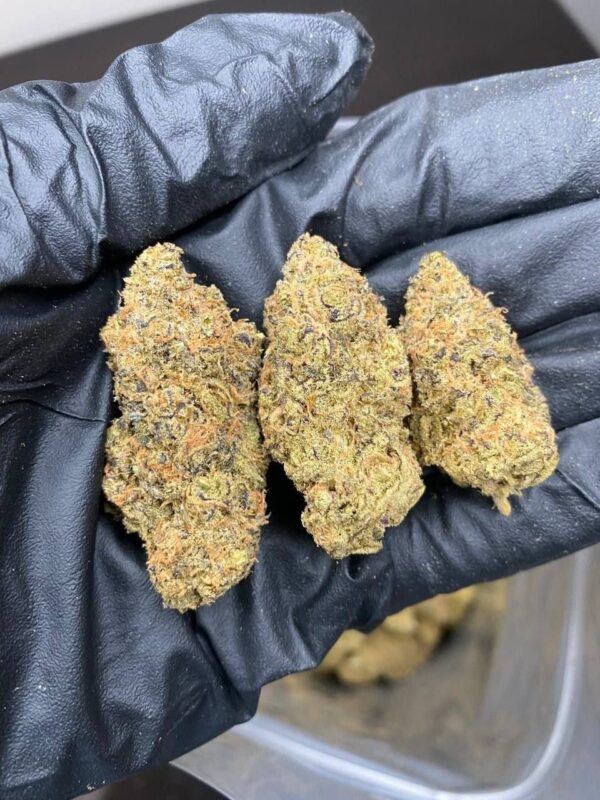 buy-weed-in-hamburg-1.jpeg Cannabis Online in Bremen kaufen