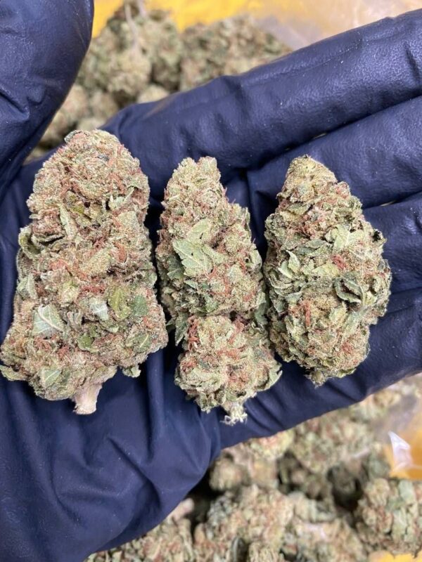 Cannabis online in Bremen kaufen Cannabis online in Bremen kaufen